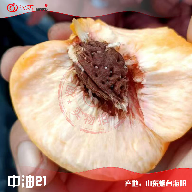 离核特写实拍